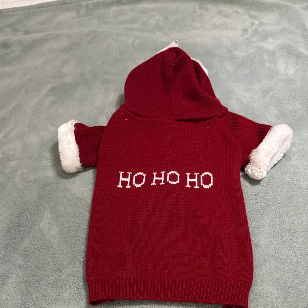 Red Dog Hoodie with White Trim